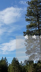疫情期间借呗逾期1天 疫情期间借呗逾期1天