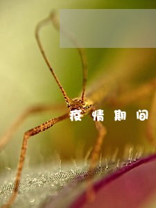 疫情期间借呗逾期一天 疫情期间借呗逾期一天