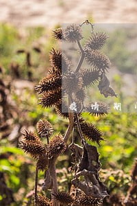 疫情期间借呗逾期会打电话催吗 疫情期间借呗逾期会打电话催吗