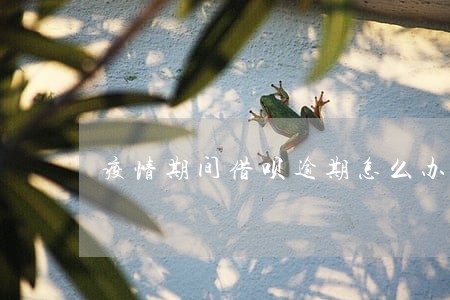 疫情期间借呗逾期怎么办 疫情期间借呗逾期怎么办