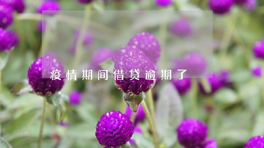 疫情期间借贷逾期了 疫情期间借贷逾期了