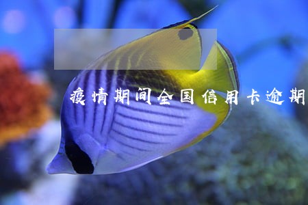 疫情期间全国信用卡逾期 疫情期间全国信用卡逾期