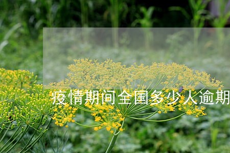 疫情期间全国多少人逾期 疫情期间全国多少人逾期