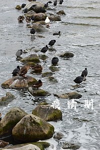 疫情期间全国房贷逾期 疫情期间全国房贷逾期
