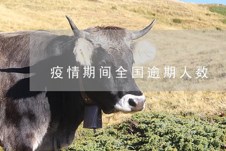 疫情期间全国逾期人数 疫情期间全国逾期人数