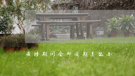 疫情期间全部逾期怎么办 疫情期间全部逾期怎么办