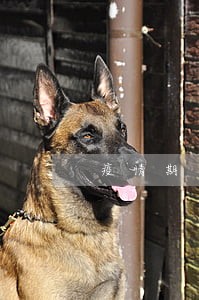疫情期间全部逾期武汉 疫情期间全部逾期武汉