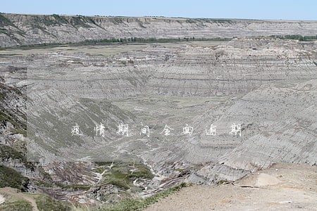 疫情期间全面逾期 疫情期间全面逾期