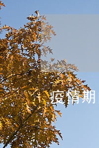疫情期间全面逾期了 疫情期间全面逾期了