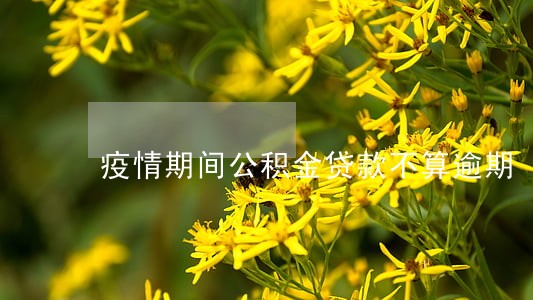 疫情期间公积金贷款不算逾期 疫情期间公积金贷款不算逾期