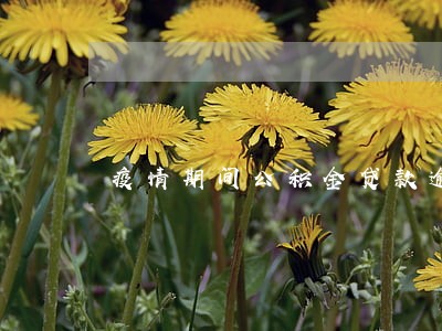 疫情期间公积金贷款逾期怎么办 疫情期间公积金贷款逾期怎么办