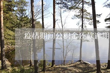 疫情期间公积金还款逾期怎么办 疫情期间公积金还款逾期怎么办