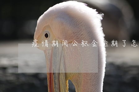 疫情期间公积金逾期了怎么办 疫情期间公积金逾期了怎么办