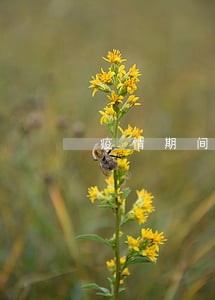 疫情期间兴业信用卡逾期 疫情期间兴业信用卡逾期