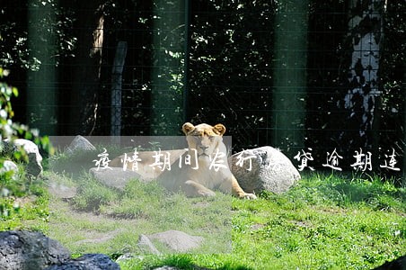 疫情期间农行房贷逾期连续三个月 疫情期间农行房贷逾期连续三个月