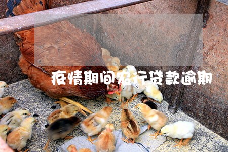 疫情期间农行贷款逾期 疫情期间农行贷款逾期