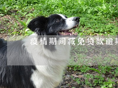 疫情期间减免贷款逾期罚息 疫情期间减免贷款逾期罚息