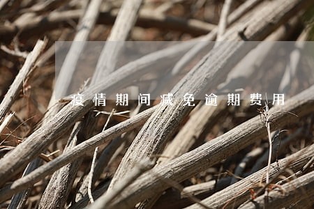 疫情期间减免逾期费用 疫情期间减免逾期费用