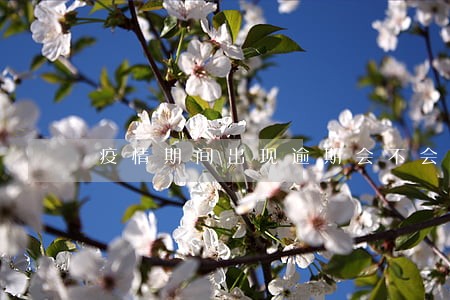 疫情期间出现逾期会不会上征信 疫情期间出现逾期会不会上征信
