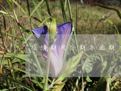 疫情期间分期乐逾期十天会怎样 疫情期间分期乐逾期十天会怎样