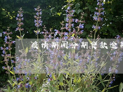 疫情期间分期贷款逾期 疫情期间分期贷款逾期