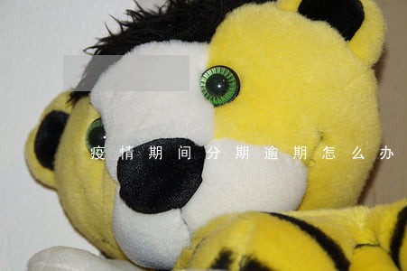 疫情期间分期逾期怎么办 疫情期间分期逾期怎么办