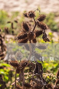 疫情期间利息逾期 疫情期间利息逾期