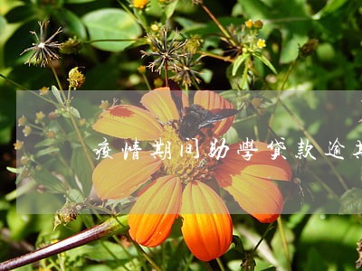疫情期间助学贷款逾期了 疫情期间助学贷款逾期了