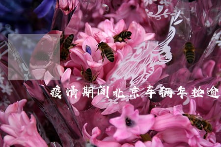 疫情期间北京车辆年检逾期 疫情期间北京车辆年检逾期
