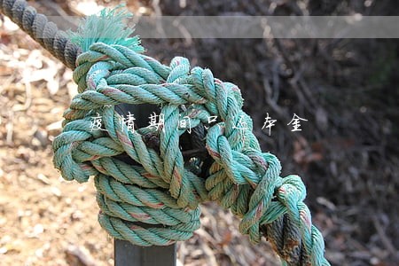 疫情期间只还本金 疫情期间只还本金