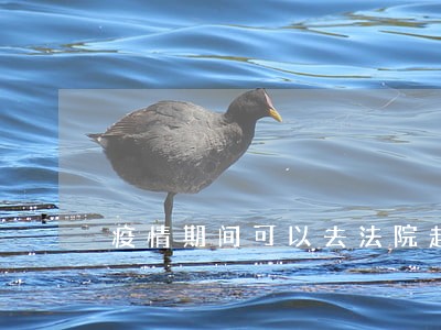 疫情期间可以去法院起诉吗 疫情期间可以去法院起诉吗