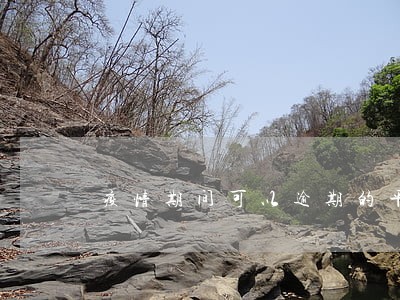 疫情期间可以逾期的平台 疫情期间可以逾期的平台