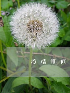 疫情期间可企业逾期社保补办 疫情期间可企业逾期社保补办