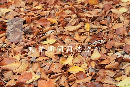 疫情期间司法监控 疫情期间司法监控