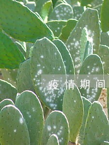 疫情期间各类贷款逾期 疫情期间各类贷款逾期