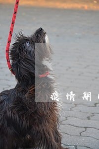 疫情期间和解协议逾期了 疫情期间和解协议逾期了