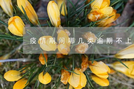 疫情期间哪几类逾期不上征信 疫情期间哪几类逾期不上征信
