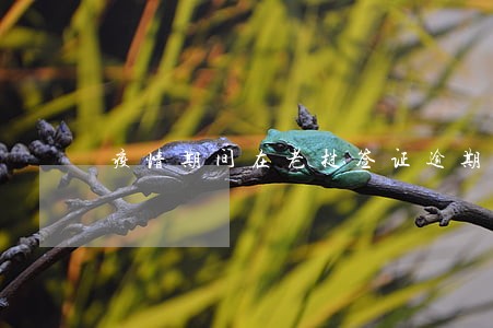 疫情期间在老挝签证逾期怎么办 疫情期间在老挝签证逾期怎么办