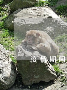 疫情期间在马来西亚逾期怎么办 疫情期间在马来西亚逾期怎么办
