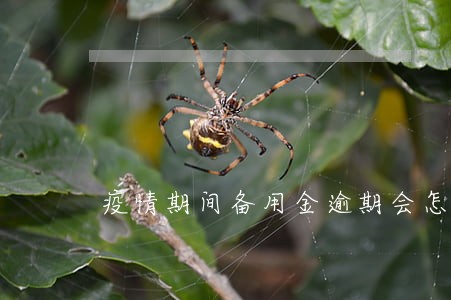 疫情期间备用金逾期会怎么样 疫情期间备用金逾期会怎么样
