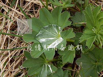 疫情期间备逾期 疫情期间备逾期