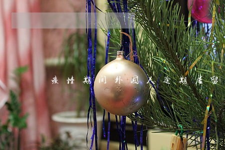 疫情期间外国人逾期居留