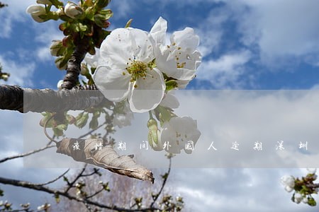 疫情期间外国人逾期深圳