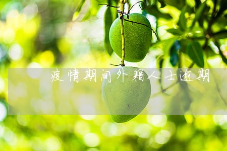疫情期间外籍人士逾期 疫情期间外籍人士逾期