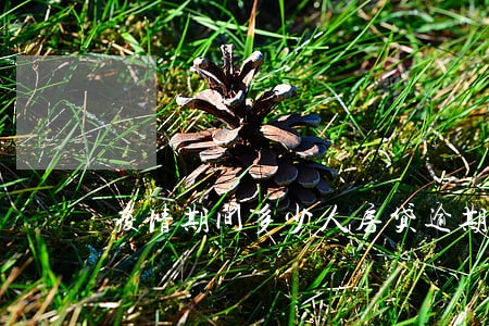 疫情期间多少人房贷逾期 疫情期间多少人房贷逾期