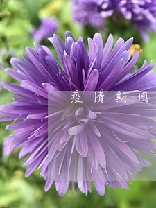 疫情期间多少网贷逾期 疫情期间多少网贷逾期