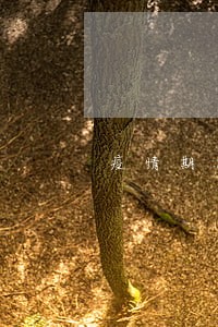 疫情期间多少钱逾期 疫情期间多少钱逾期