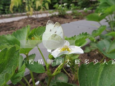 疫情期间大概多少人逾期 疫情期间大概多少人逾期