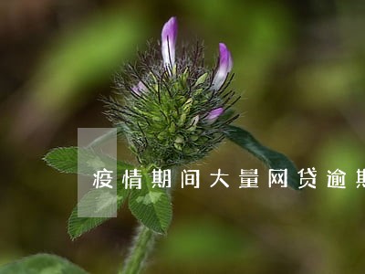 疫情期间大量网贷逾期 疫情期间大量网贷逾期