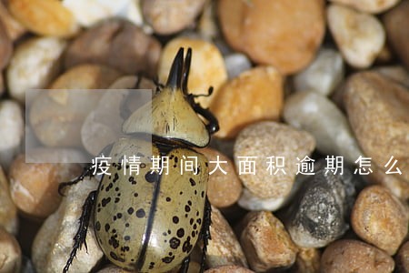 疫情期间大面积逾期怎么办 疫情期间大面积逾期怎么办